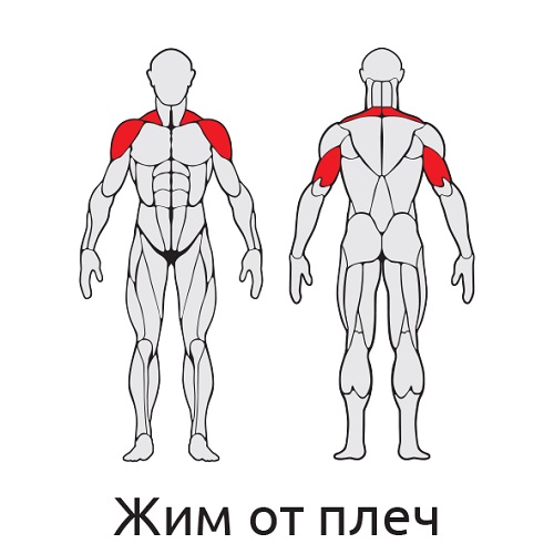 Уличный тренажер Жим вверх от плеч с дисками S421 IronKing