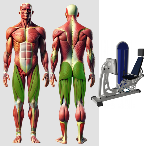 Жим ногами горизонтальный MB 3.20 N MB Barbell