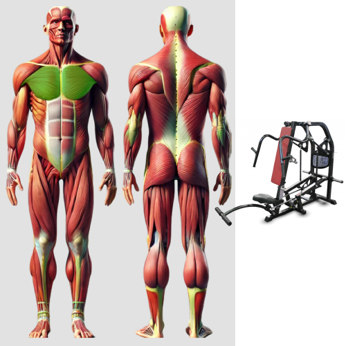Жим под углом вверх MB 4.15 MB Barbell