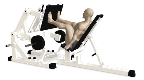 Жим ногами на свободных весах MB 4.07 MB Barbell