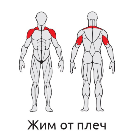 Уличный тренажер Жим вверх от плеч с дисками S421 IronKing