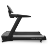Беговая дорожка T1000M Pro Turbo new Bronze Gym