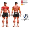 Жим под углом вверх MB 4.15 MB Barbell