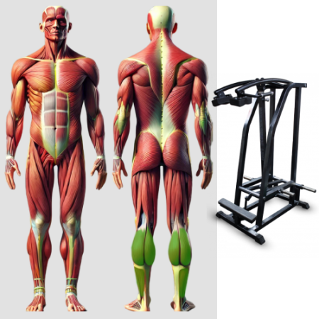 Голень стоя MB 4.06 MB Barbell