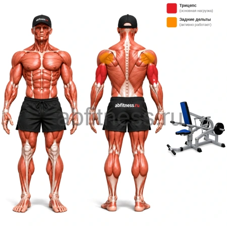Трицепс MB 4.04 MB Barbell