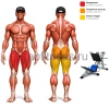 Жим ногами под углом 40 градусов нагрузка до300кг MB 4.24 MB Barbell
