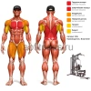 Силовой комплекс G5S Body Solid