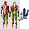 Жим ногами горизонтальный MB 3.20 N MB Barbell