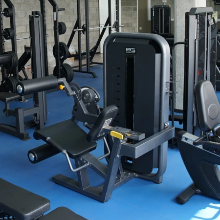 Сгибание разгибание ног сидя MIGHT 54 Bronze Gym