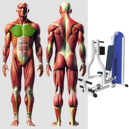 Грудь машина Баттерфляй MB 3.26 N MB Barbell