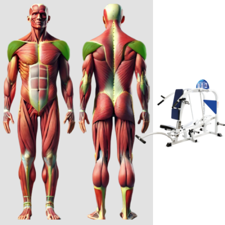 Жим вверх MB 4.03 MB Barbell