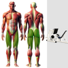 Жим ногами на свободных весах MB 4.07 MB Barbell